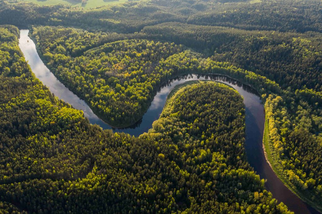 amazon river from above 