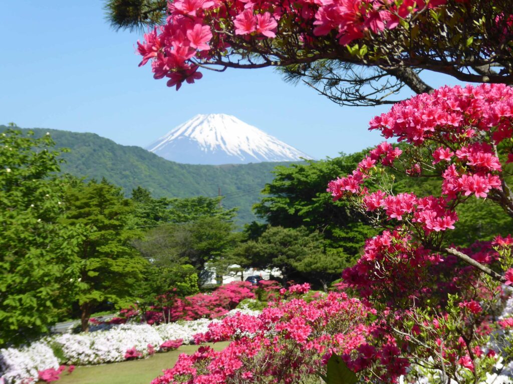 Mount Fuji garden view, Japan